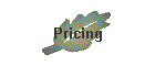 Pricing
